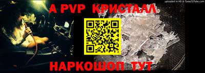 шишки Будённовск