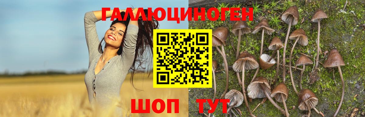 Псилоцибиновые грибы MAGIC MUSHROOMS Копейск